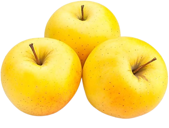 Apples Gold Uzbekistan
