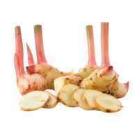 Galangal