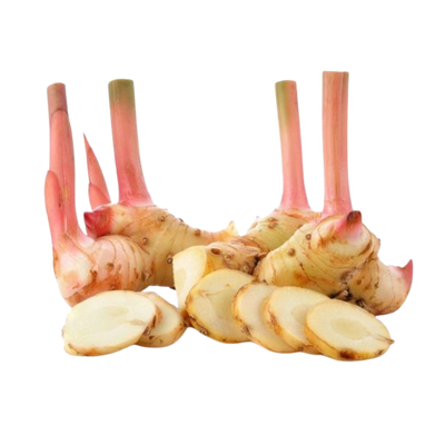 Galangal