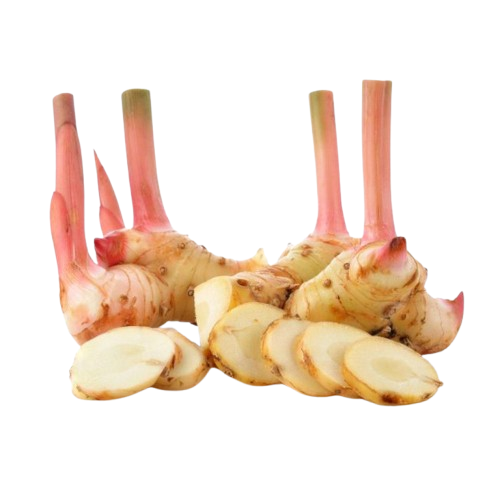 Galangal