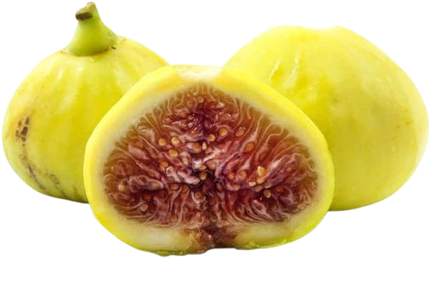Figs Yellow Uzbekistan
