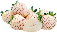 White Strawberry USA