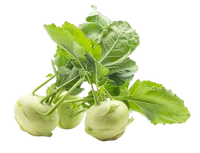 Kohlrabi ~ 2 pc