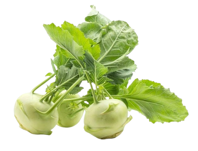 Kohlrabi ~ 2 pc