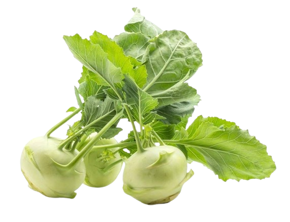 Kohlrabi ~ 2 pc