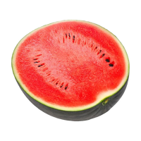 Watermelon /Uzbekistan