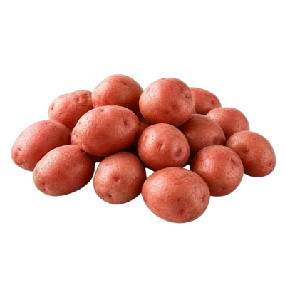 Young Potato Red