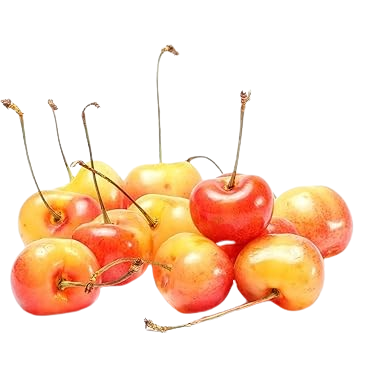 White Sweet Cherry Armenia