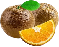 Orange Chocolate Navel