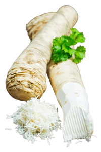 Horse radish
