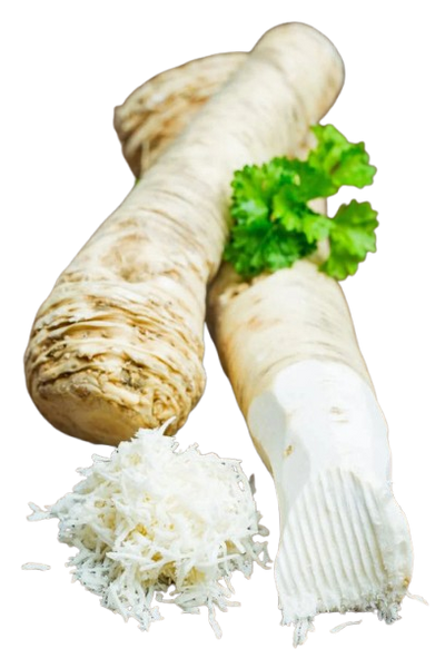 Horse radish