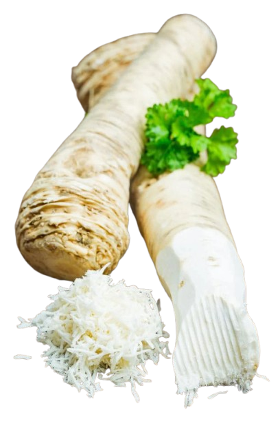 Horse radish