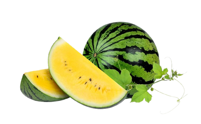 Yellow Watermelon