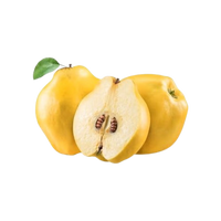 Lebanese Quince