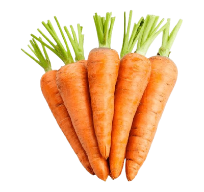 Carrot Uzbekistan