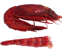 Wild Carabinero Frozen (Raw) ~ 6-8 pcs