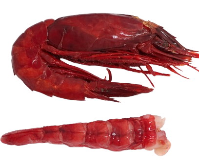 Wild Carabinero Frozen (Raw) ~ 6-8 pcs