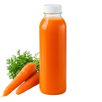 Freshly Squeezed Carrot Juice