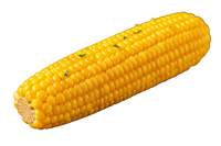 Boiled Sweet Corn