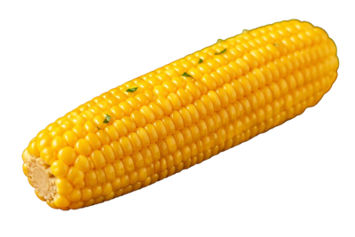 Boiled Sweet Corn