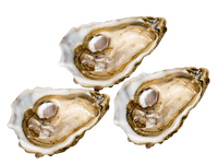Gillardeau Oysters № 4 (3pcs closed)