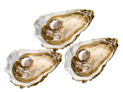 Gillardeau Oysters № 4 (3pcs closed)