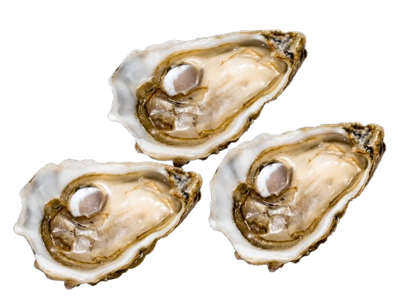 Gillardeau Oysters № 4 (3pcs closed)