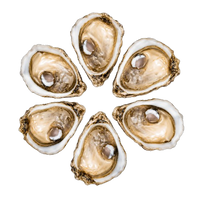 Gillardeau Oysters № 4 (6 pcs closed)