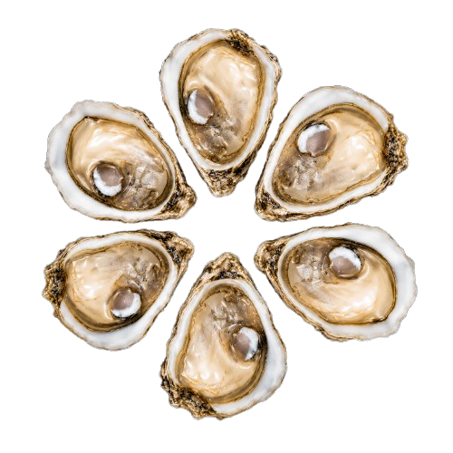 Gillardeau Oysters № 4 (6 pcs closed)
