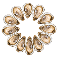 Gillardeau Oysters № 4 (12 pcs closed)