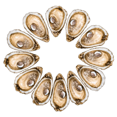 Gillardeau Oysters № 4 (12 pcs closed)
