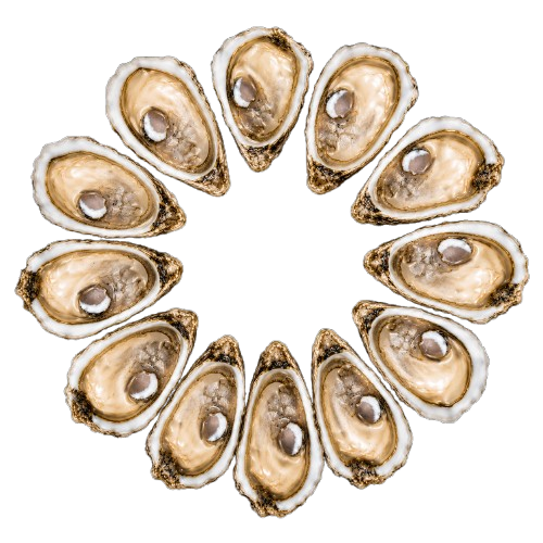 Gillardeau Oysters № 4 (12 pcs closed)