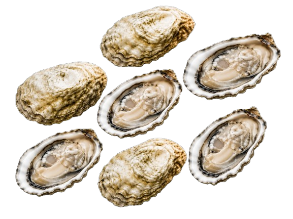 New Zealand Oysters № 4 (6 pcs closed)