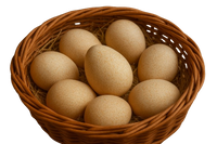 Guinea fowl eggs 30 pcs