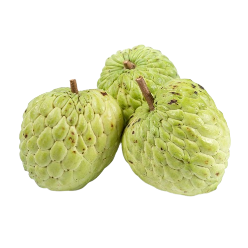 Cherimoya (Custard Apple)