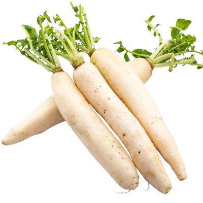 White Radish