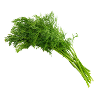 Dill Uzbekistan