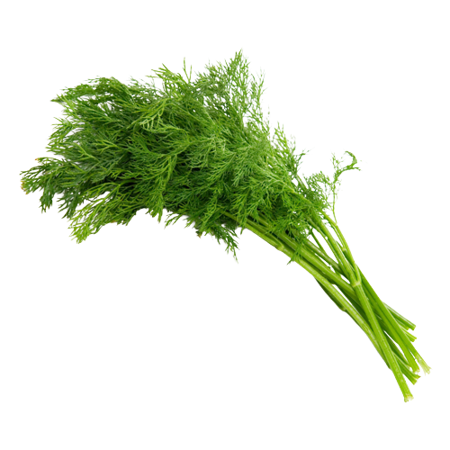 Dill Uzbekistan