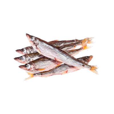 Korushka Kamchatka 5-6 pcs