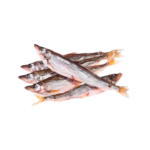 Korushka Kamchatka 5-6 pcs