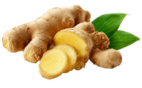 Ginger