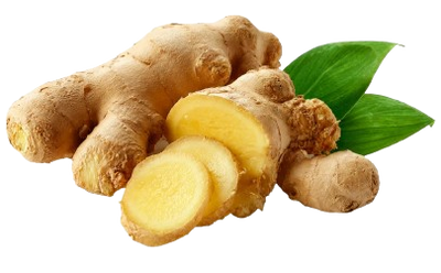 Ginger