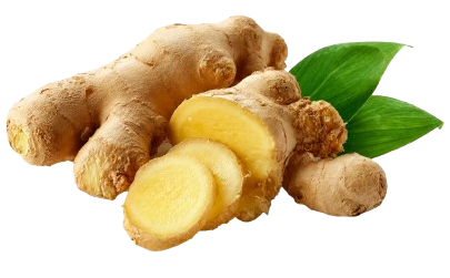 Ginger