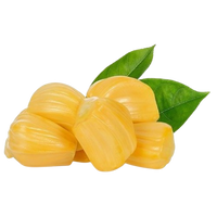 JackFruit