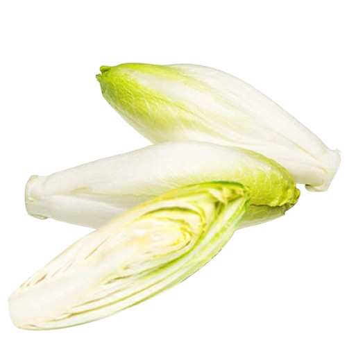 Chicory