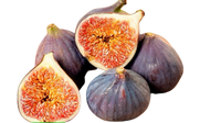 Figs Uzbekistan