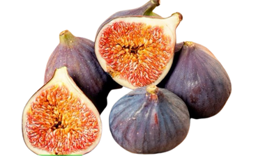 Figs Uzbekistan