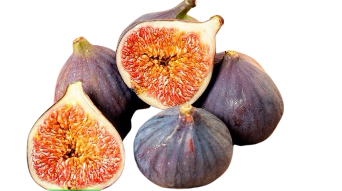 Figs Uzbekistan