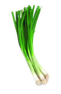 Spring Onion From Uzbekistan