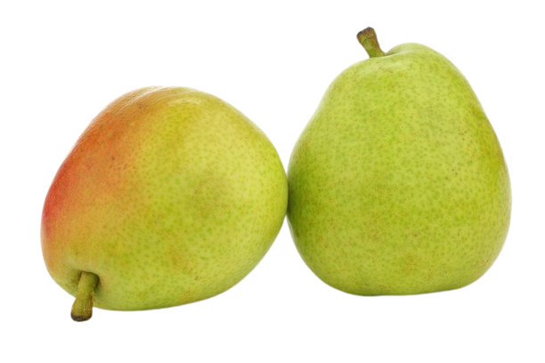 Anjou pear Uzbekistan
